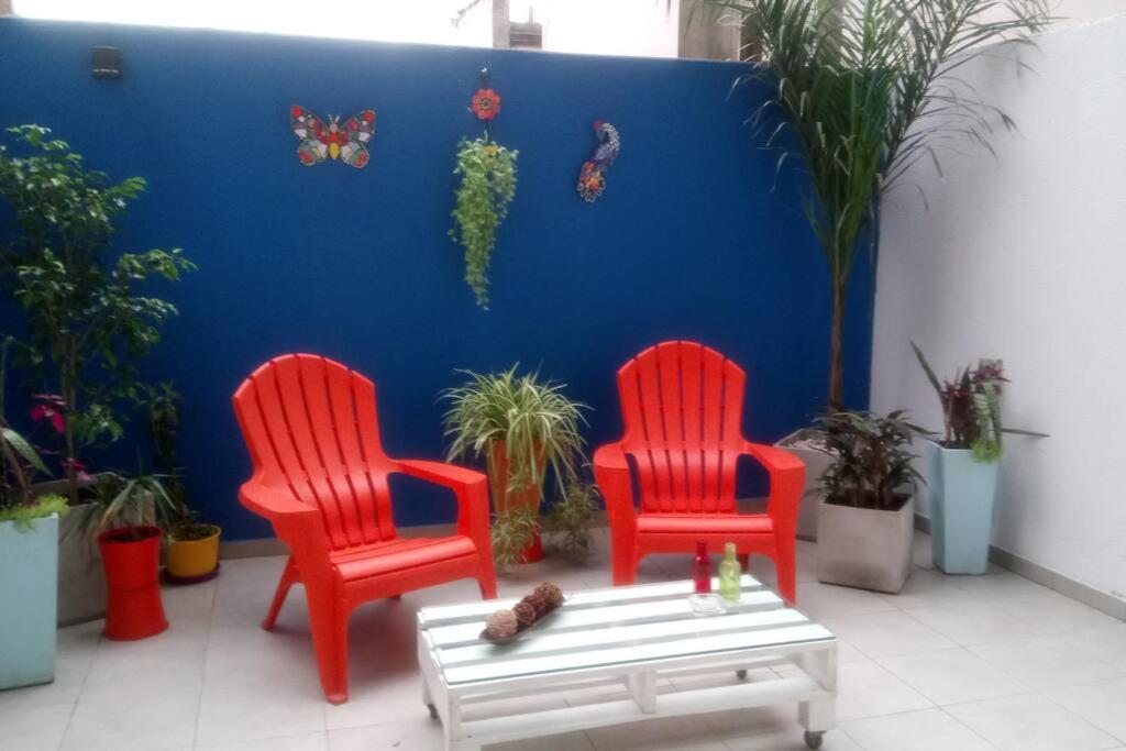 Apartamento Hermoso Estudio Con Patio Privado *